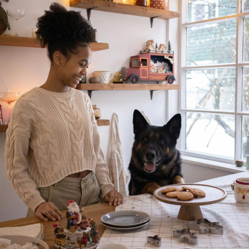 Alimentación navideña y mascotas