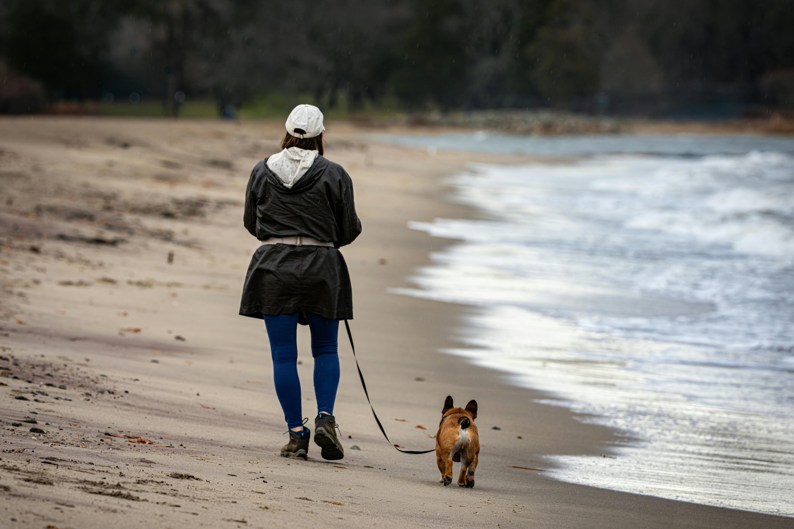 Propósitos de año nuevo para ti y tu mascota